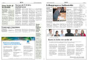 Síða 14