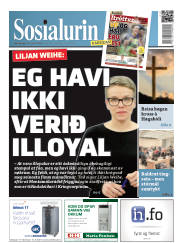 Síða 1