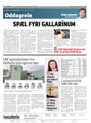 Síða 2
