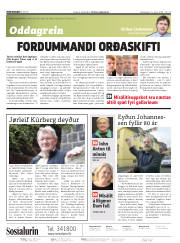 Síða 2