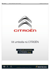 Síða 20