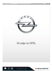 Síða 21