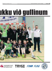 Síða 25