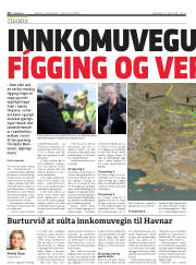 Síða 26