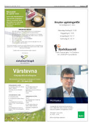 Síða 29
