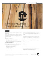 Síða 45