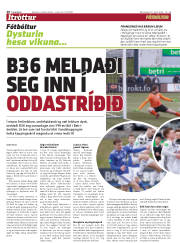 Síða 20