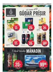 Síða 3