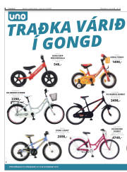 Síða 8