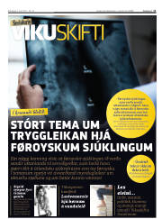 Síða 11
