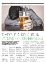 Síða 14