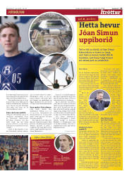 Síða 21