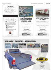 Síða 29