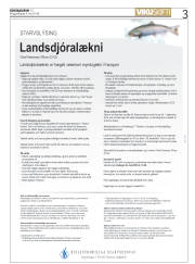 Síða 3