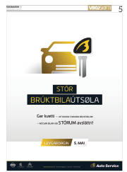 Síða 5