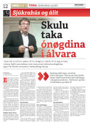 Síða 12