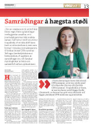 Síða 13