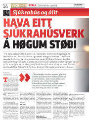 Síða 14
