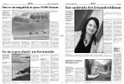 Síða 3