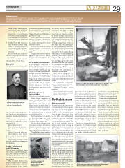 Síða 29