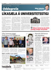 Síða 2