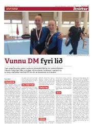 Síða 13