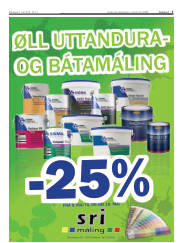 Síða 5