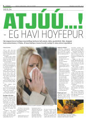 Síða 8