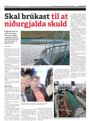 Síða 11