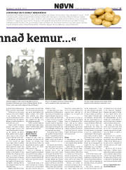 Síða 17