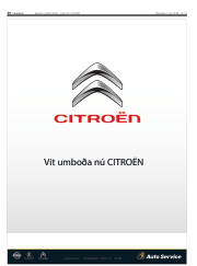Síða 26
