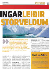Síða 11