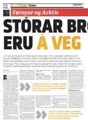 Síða 12