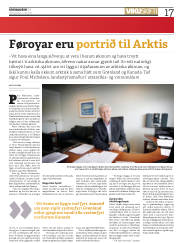 Síða 17