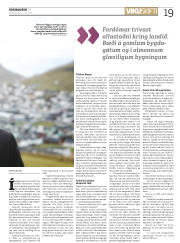 Síða 19