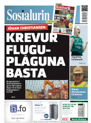 Síða 1
