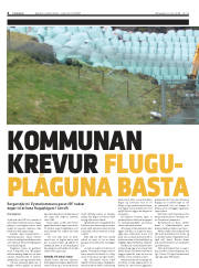 Síða 4