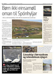 Síða 8