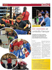 Síða 15