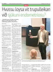 Síða 4