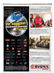 Síða 11