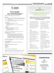 Síða 25