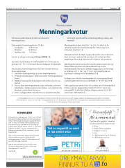Síða 29