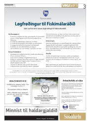 Síða 3