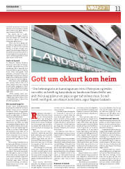 Síða 11