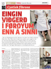 Síða 12