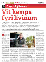 Síða 14