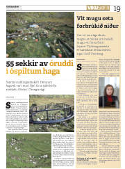 Síða 19