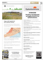 Síða 31