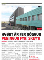 Síða 6